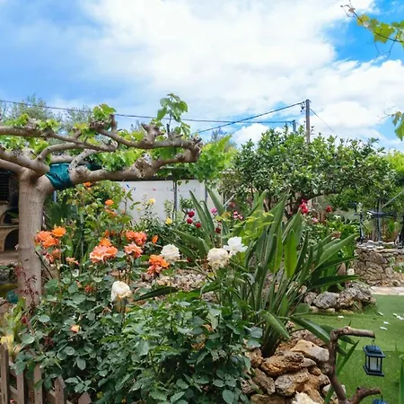 Holiday home Dimitris's Agia (Chania, Crete)