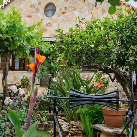 Dimitris's Holiday home