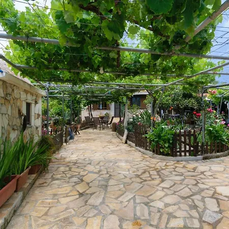 Dimitris's Agia (Chania, Crete)